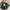 Oakley Grunge Casual Sunglass Pria black gray photo 2