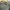 Clubcali M65 field army jacket photo 10