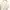 Uniqlo Luxury Lolita Cardigan Wanita cream photo 4