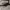 Oakley Vintage Streetwear Sunglass Pria black photo 4