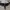 Oakley Vintage Streetwear Sunglass Pria black photo 1