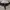 Oakley Vintage Streetwear Sunglass Pria Black