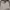 Oakley Vintage Streetwear Sunglass Pria black photo 3