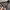 Casual Sweater Pria gray photo 5