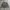 Casual Sweater Pria gray photo 1