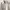 Yohji Yamamoto Casual Casual shirt Pria tan photo 2