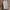 ZARA Casual Summer dress Wanita multicolor photo 1