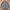 BIG SIZE TOMMY HILFIGER DARK GREY BUTTON DOWN LONG SLEEVE OX photo 5