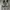 VANS Casual Sneakers Kids White