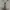 National Geographic Luxury Casual Bomber jacket Pria tan photo 3