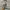 National Geographic Luxury Casual Bomber jacket Pria tan photo 5