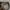 National Geographic Luxury Casual Bomber jacket Pria tan photo 4