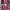 AUTH. COACH MADISON PHOEBE BLACK PEBBLED LEATHER HOBO photo 9