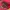 RUGGED RARE PINK MILITARY CAP - Y2K BLING RHINESTONE photo 2