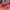 SEATTLE SOUVENIR MILITARY CAP - HOT PINK PATCHWORK
