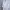 Minimalist Midi dress Wanita white photo 1