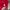 Giordano Casual Sweater Pria red photo 4