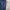 8 second baggy jeans carpanter photo 8