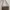 Casual Shoulder bag Wanita tan photo 1