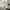 Carhartt Casual Jumper Pria gray photo 5