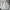 Carhartt Casual Jumper Pria gray photo 2