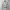 H&m Light Green Top