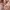 Dickies Zip Hoodie Brown Independent  photo 7