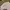 Stripe Pink Pants photo 4
