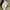 Uniform Bridge Fatigue Pants photo 6
