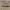 Uniform Bridge Fatigue Pants photo 3