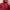 Spyderbilt usa red jacket  photo 2
