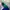 Converse 70s egret darkgreen photo 5
