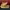Vans Old Skool (Anaheim Factory) Tapered Earth Mesa photo 3