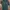 Cotton On Casual T-shirt Pria green photo 1