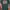 Cotton On Casual T-shirt Pria green photo 2