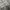 Cargo Sweatpants Grey Wide Leg Fit Unknown photo 5