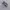 Nike shox r4 photo 2