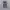 Nike shox r4 photo 3
