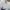 Vintage Real Madrid FC 1996-1997 Home Jersey photo 8