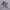 Nike TN photo 2