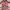 ZARA Sportswear Casual Puffer jacket Kids pink photo 1