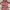 ZARA Sportswear Casual Puffer Jacket Kids Pink