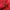 Liverpool FC 2010-2012 Home Jersey photo 5