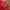 Liverpool FC 2010-2012 Home Jersey photo 3