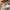 Acme De La Vie  Streetwear Casual Sweater Pria white photo 3