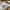 Acme De La Vie  Streetwear Casual Sweater Pria white photo 2