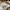 Acme De La Vie  Streetwear Casual Sweater Pria White