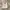 Levi's Vintage Y2K Jeans Pria Multicolor Cream