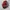 Michael Kors Kent Cycling Red Backpack Original photo 3
