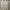 Valentino Luxury Casual Casual shoe Pria gold white photo 6